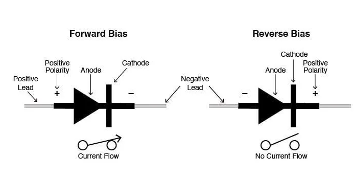 {F87A9AFA - 669B - 4159 - BD4E - D8C887E8700E}.png